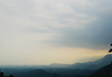 The hills