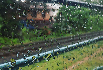 Rain & Train
