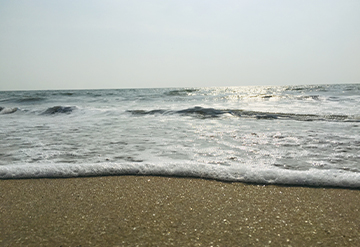 Waves of Change